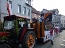 Winzerfestumzug 2012_19